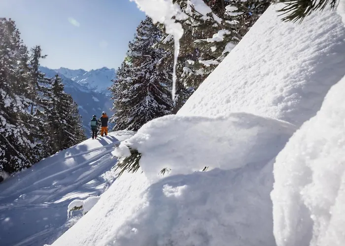 Zweite Heimat - Alpenluxus Collection アパート フューゲン